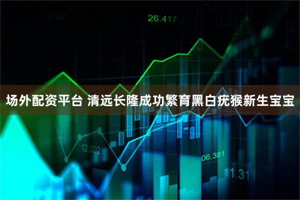 场外配资平台 清远长隆成功繁育黑白疣猴新生宝宝