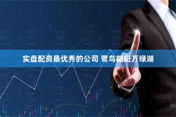 实盘配资最优秀的公司 鹭鸟翩跹万绿湖