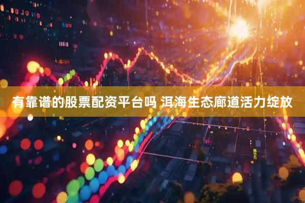 有靠谱的股票配资平台吗 洱海生态廊道活力绽放