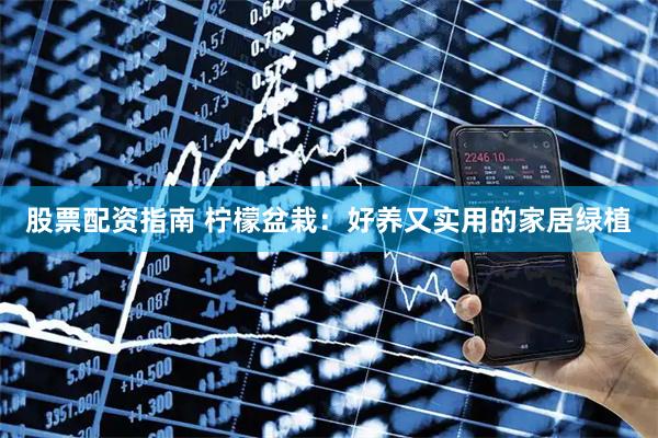 股票配资指南 柠檬盆栽：好养又实用的家居绿植