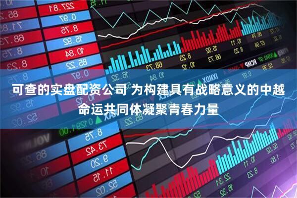 可查的实盘配资公司 为构建具有战略意义的中越命运共同体凝聚青春力量